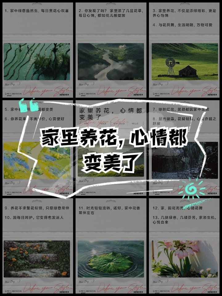 家花最經典十句話，《家花最經典十句話》《家花最經典十句話》聚焦“家花”