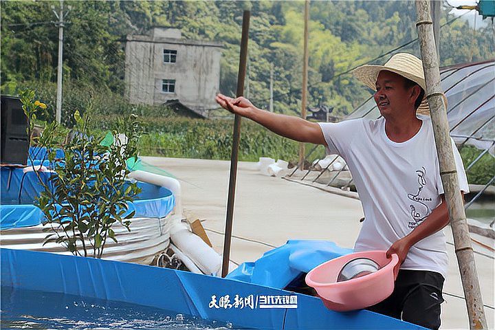 甕安龍魚店，甕安有沒有專門的龍魚店