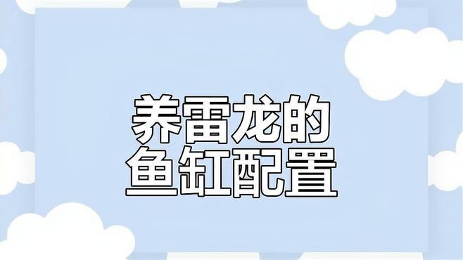 養殖雷龍魚需要哪些基礎設備？，發呆專業戶從0開始養雷龍保姆教程第一篇嗶哩嗶哩嗶哩嗶哩嗶哩
