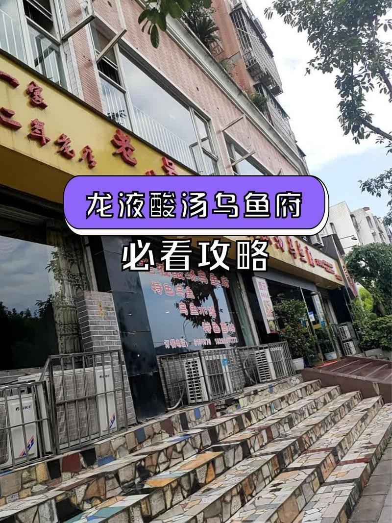 瀘縣龍魚店，瀘縣云龍鎮渝水龍魚府有哪些歷史背景渝水龍魚府的聯系方式