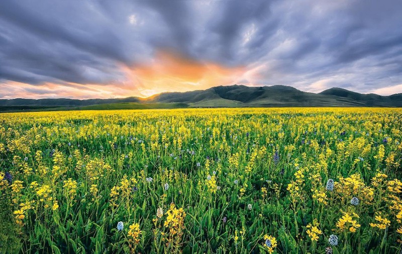 甘孜州水族店，甘孜州有哪些水族店？