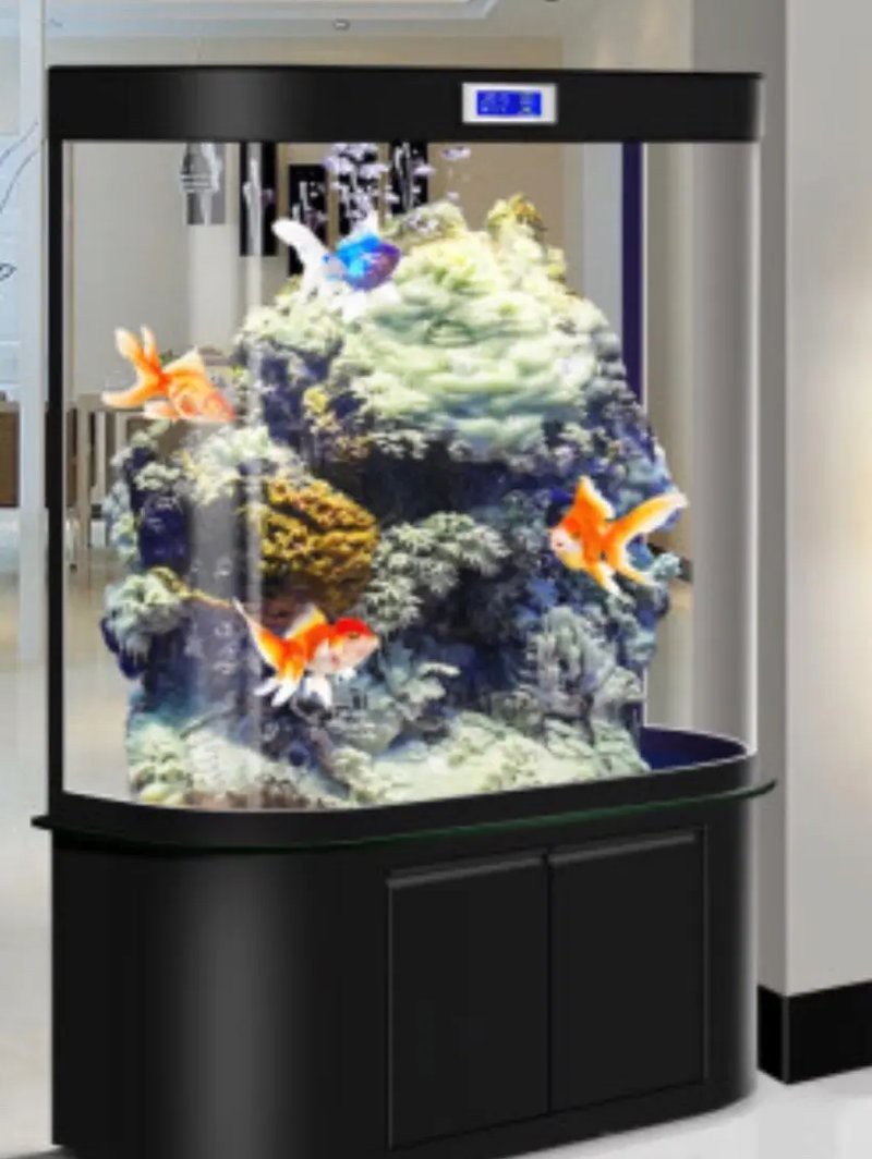 養的魚死了預示主人，《養的魚死了預示主人》當家中所養之魚不幸死亡