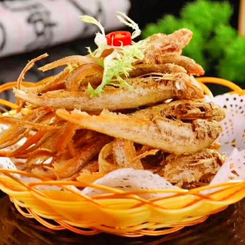 鳳尾魚圖片大全，“鳳尾魚圖片大全”匯集了多種形態(tài)與生態(tài)場(chǎng)景下的鳳尾魚視覺資料