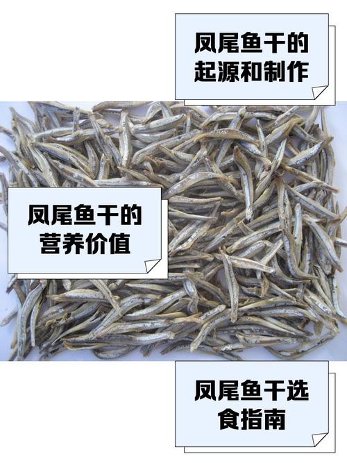 鳳尾魚圖片大全，“鳳尾魚圖片大全”匯集了多種形態(tài)與生態(tài)場(chǎng)景下的鳳尾魚視覺資料