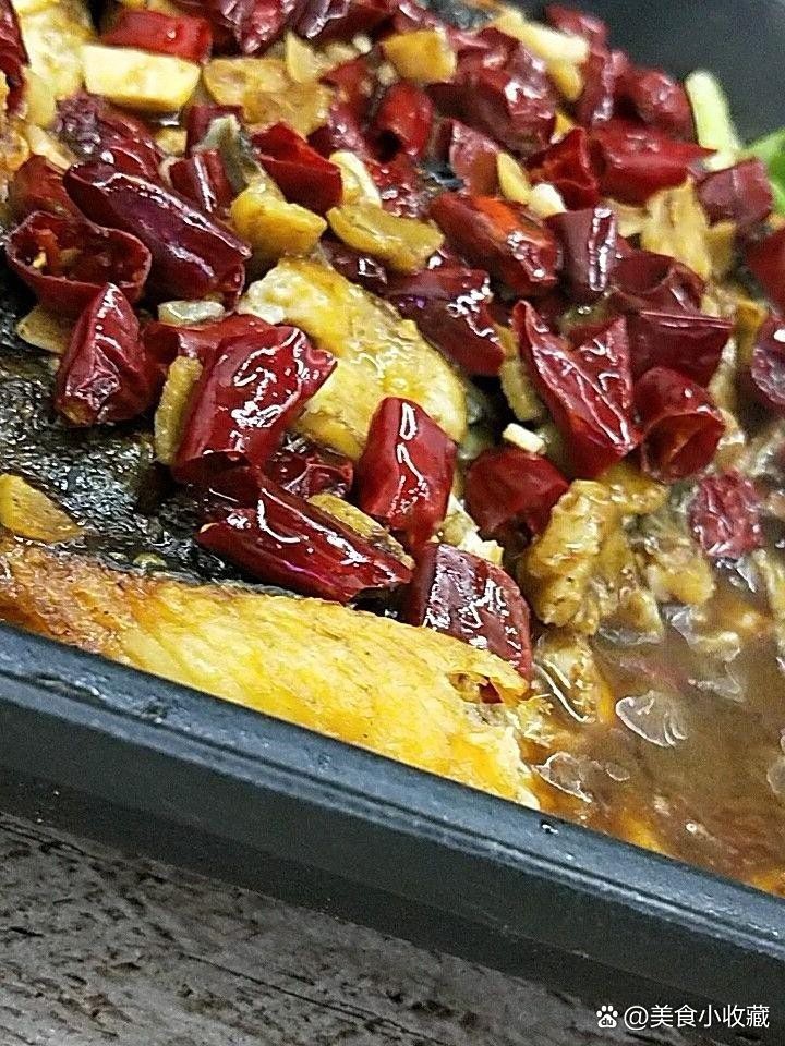 獻縣龍魚店，獻縣有專業的龍魚養殖場嗎
