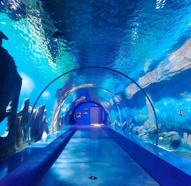 三峽水族店，三峽水族店哪家口碑最好