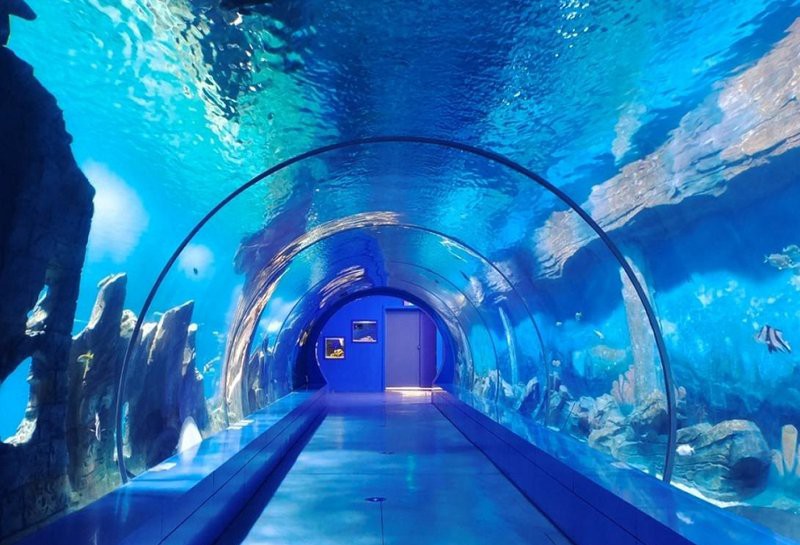 三峽水族店，三峽水族店哪家口碑最好