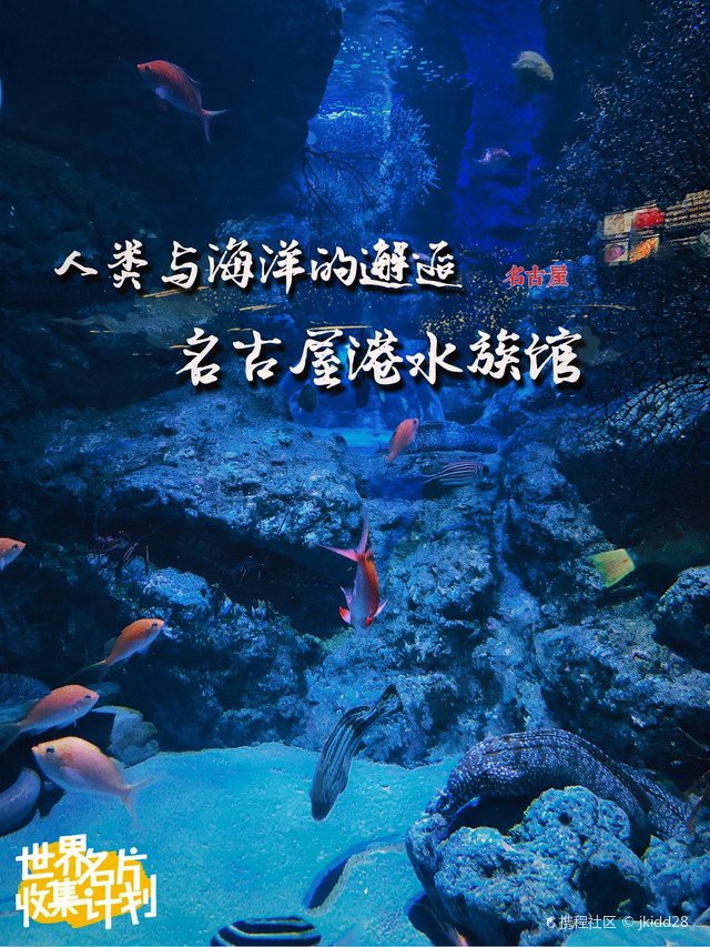 港口水族店，《港口水族店》在繁華的港口附近