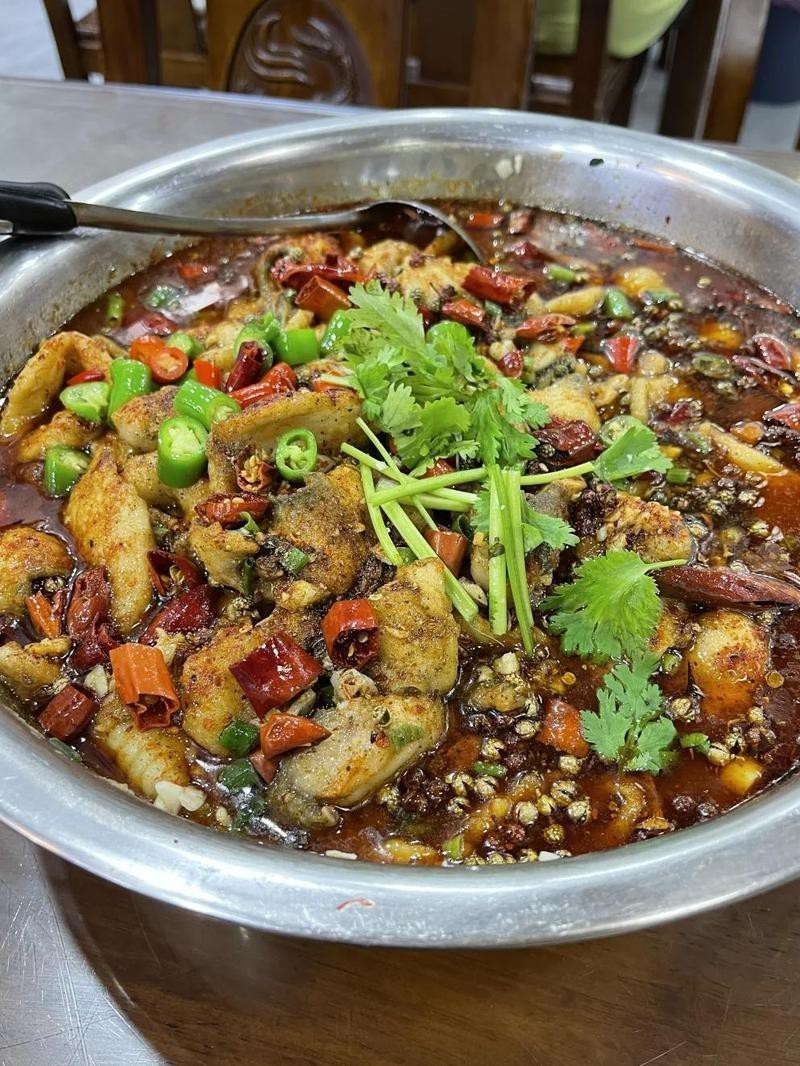 正定龍魚店，正定龍魚店哪家性價比最高