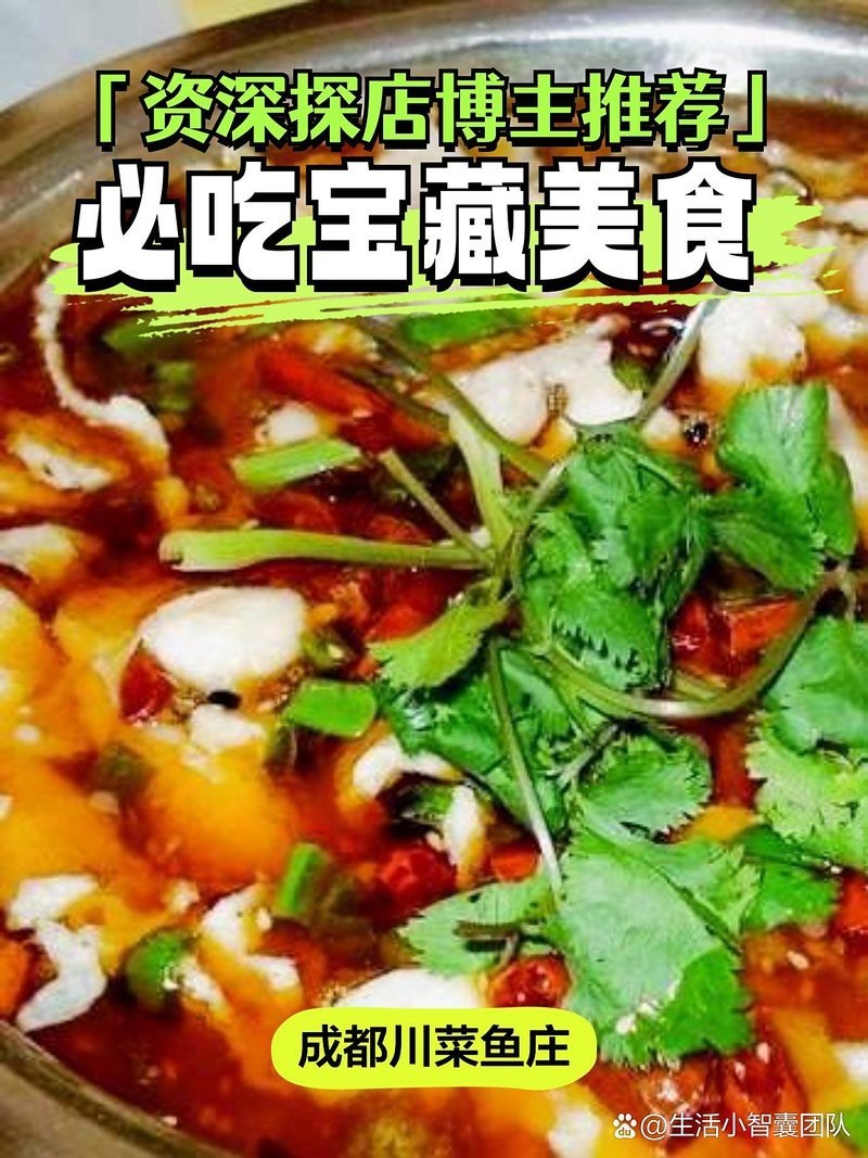正定龍魚店，正定龍魚店哪家性價比最高