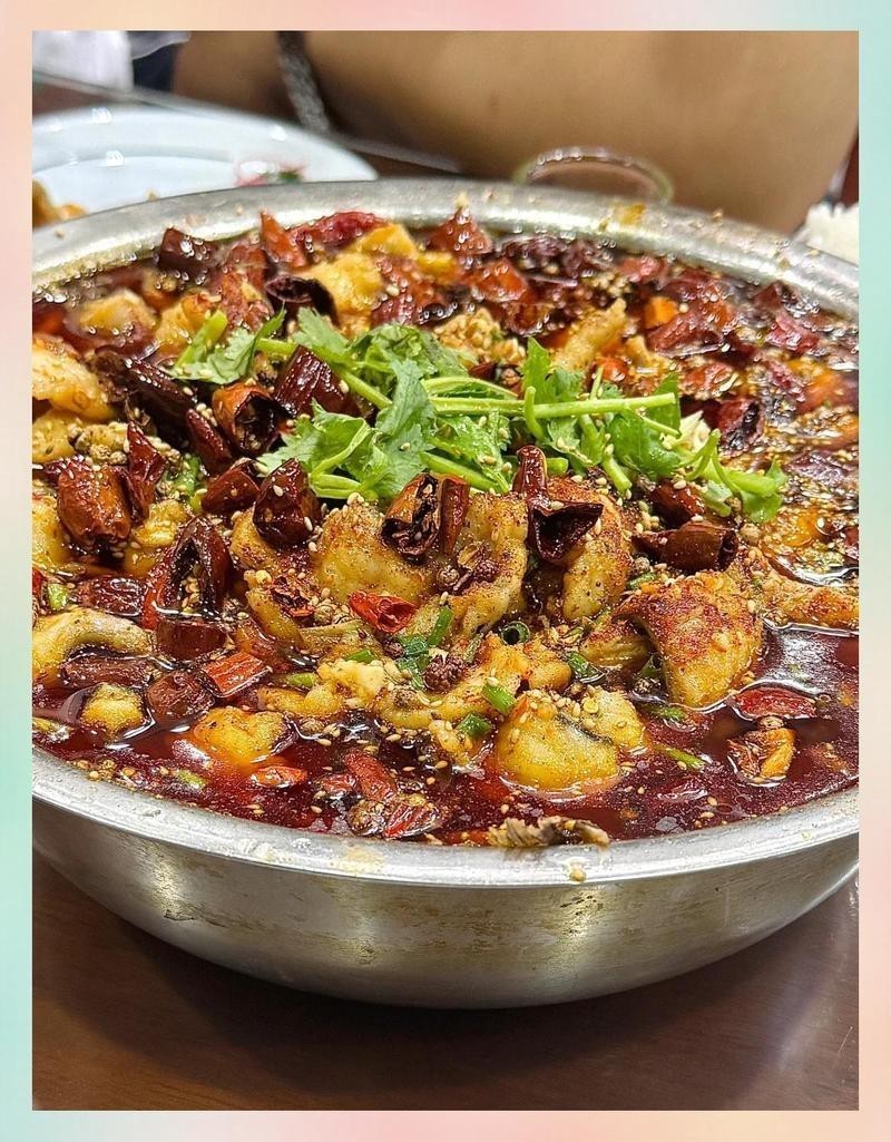 正定龍魚店，正定龍魚店哪家性價比最高
