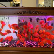 無錫水族店，無錫“水族咖啡店”