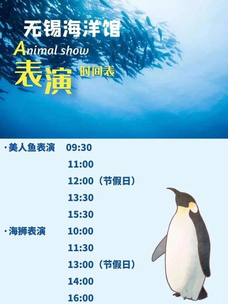 無錫水族店，無錫“水族咖啡店”