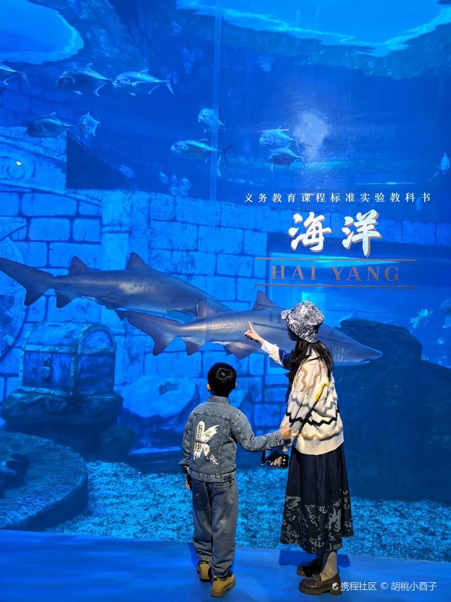 無錫水族店，無錫“水族咖啡店”