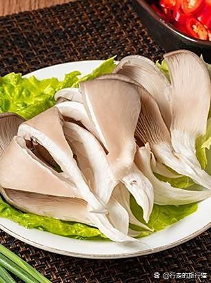 成華龍魚店，成華龍魚店相關主體為成都市龍魚酒店管理有限公司企查查