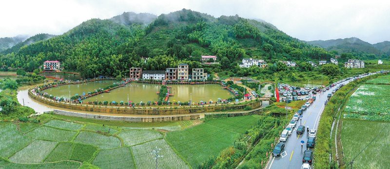 崇義水族店，崇義縣有哪些水族店