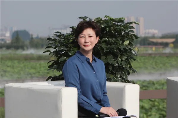 羅平龍魚店，云南曲靖羅平龍魚化石研究有何進展羅平龍魚化石研究有何進展