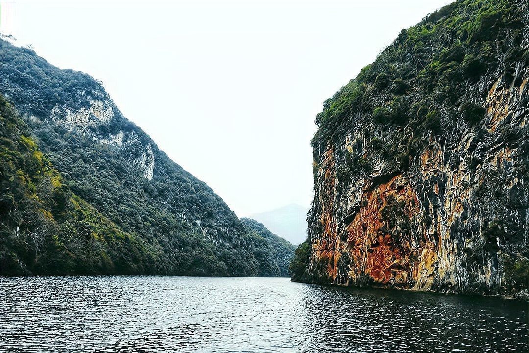 羅平龍魚店，云南曲靖羅平龍魚化石研究有何進展羅平龍魚化石研究有何進展