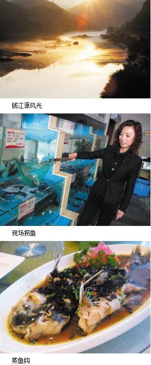 開化水族店，開化小喜原生水族店