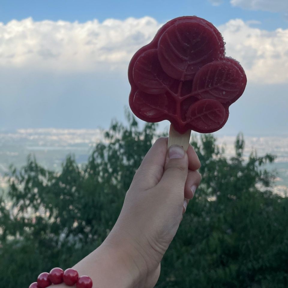 馬鞍山水族館，馬鞍山水族行業(yè)營(yíng)收同比增長(zhǎng)17%休閑娛樂(lè)為一體的海洋主題展館