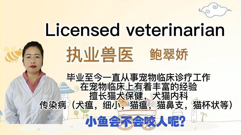紅龍魚吃小魚會咬人嗎？，紅龍魚吃小魚會咬人嗎:龍魚性格與混養(yǎng)技巧全解析