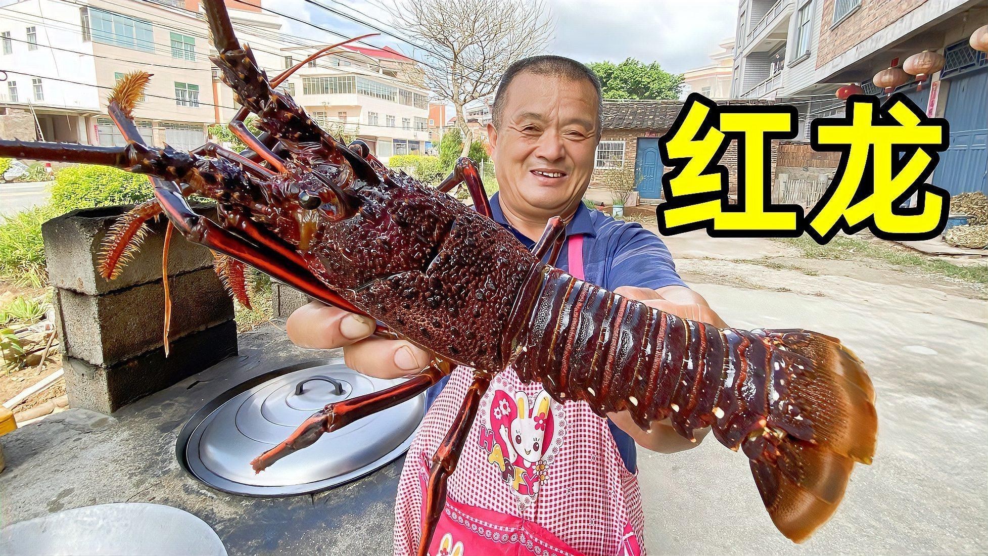 紅龍品種的價格差異大嗎？，紅龍魚一般多少錢一只