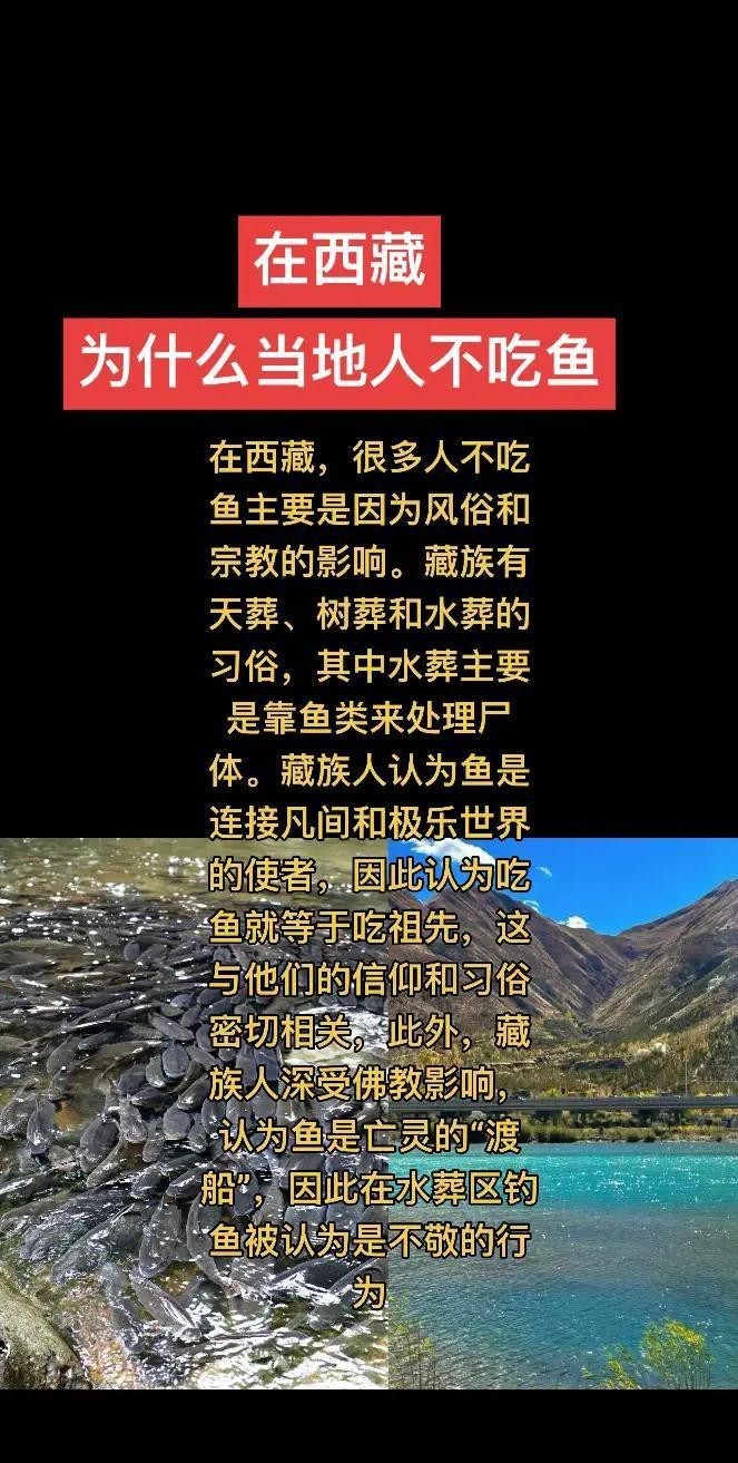 佛教不讓吃魚意味著什么，藏族為啥不吃魚呢貼吧用戶_7wqmnu6