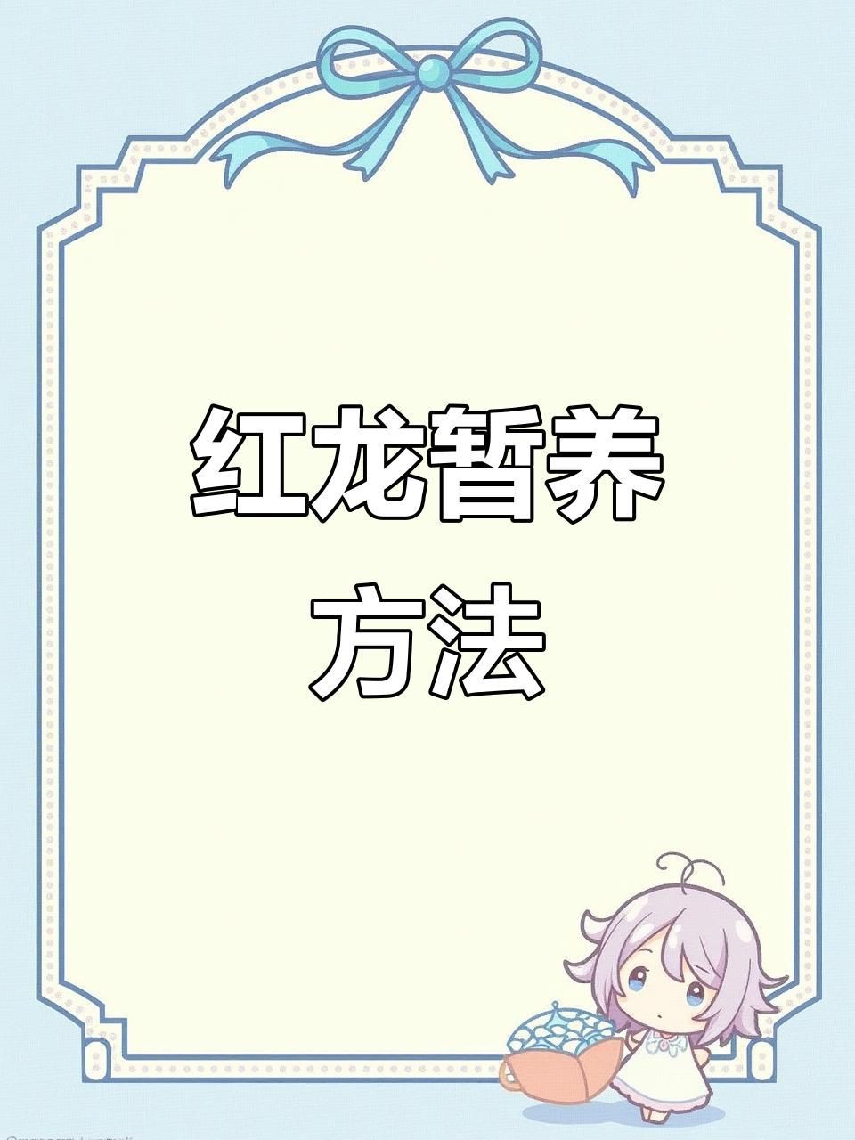 紅龍魚與澳龍魚的養殖環境，墨西哥與西澳紅龍的養護要點紅龍魚與澳龍魚的養護要點