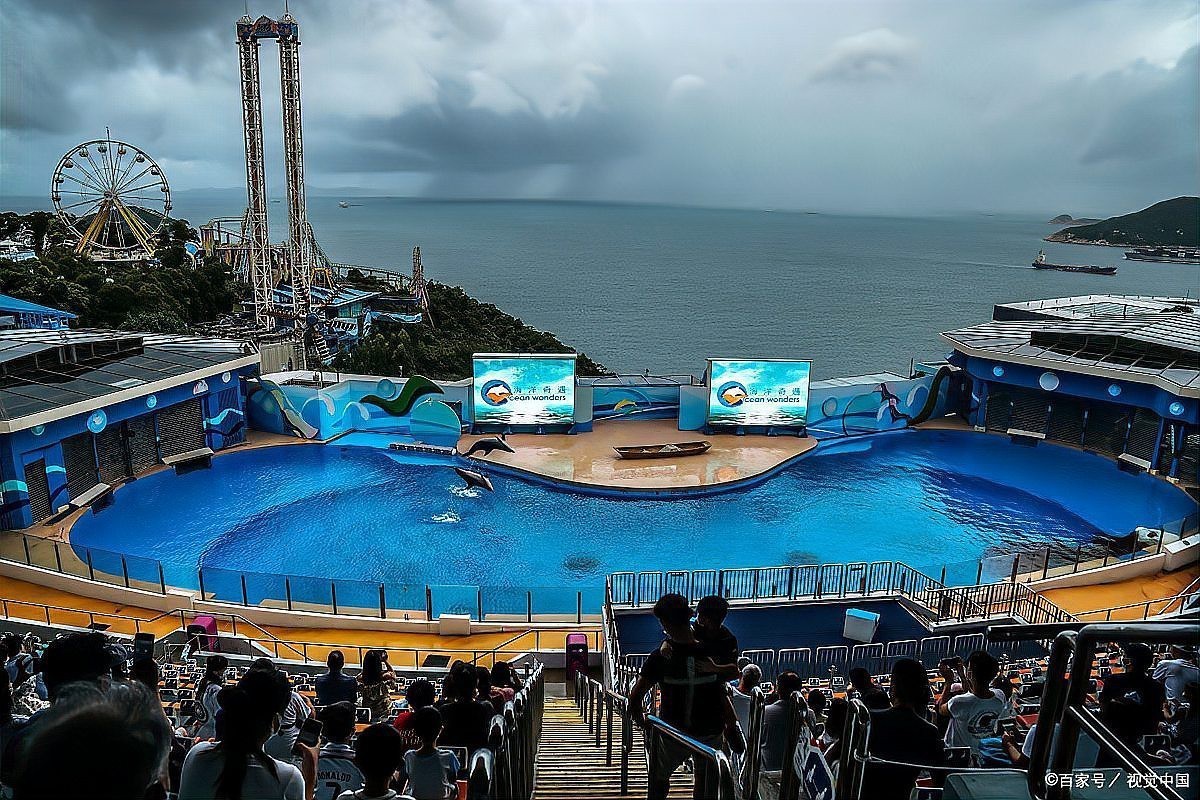 全國水族館一覽表2023最新，2023年全國水族館呈現多元發展態的海洋生物觀賞與科普體驗