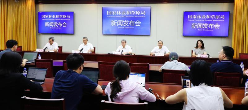 全球野生老虎數量統計，全球老虎保護現狀與未來