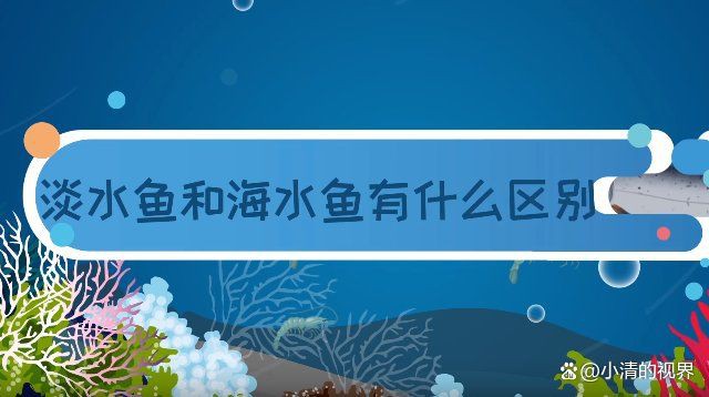 紅龍海水魚和淡水魚有什么區(qū)別？，海水魚與淡水魚的區(qū)別