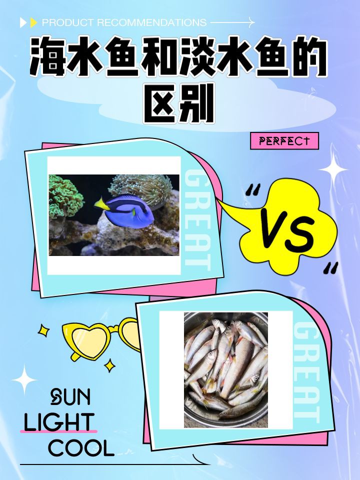 紅龍海水魚和淡水魚有什么區(qū)別？，海水魚與淡水魚的區(qū)別