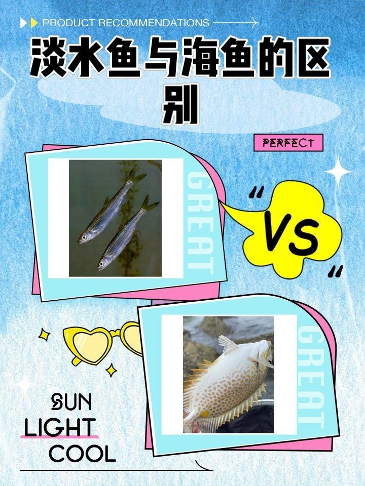 紅龍海水魚和淡水魚有什么區(qū)別？，海水魚與淡水魚的區(qū)別