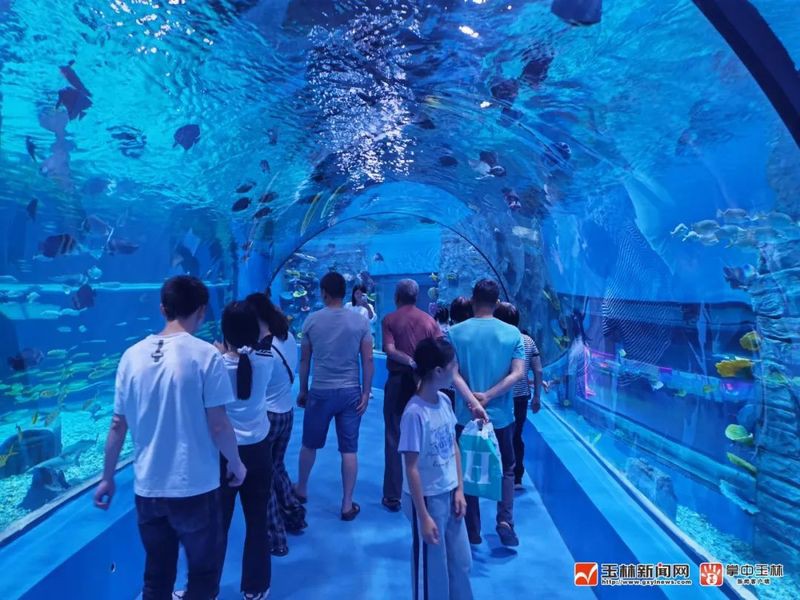 玉林水族店，玉林市玉州區三和水族館愛企查玉林市玉州區三和水族館愛企查