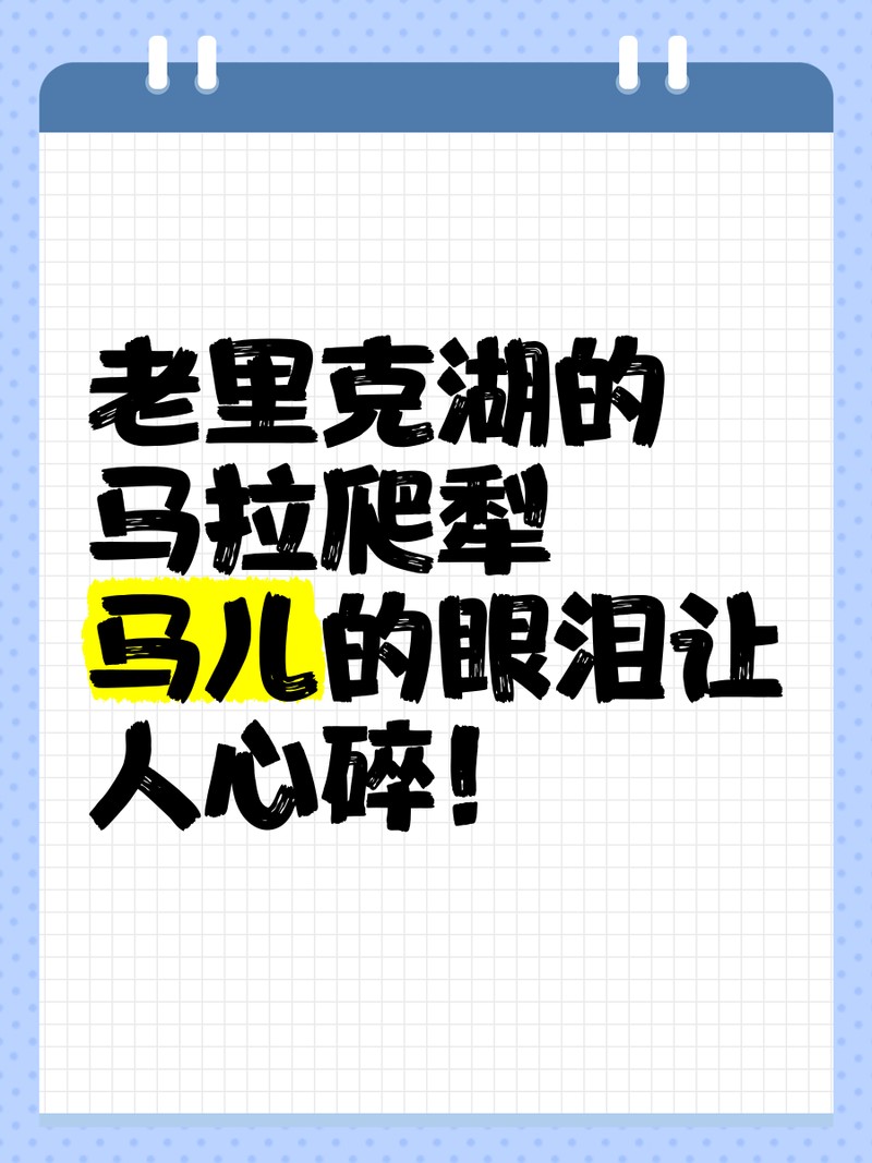 什么是馬拉小紅龍，“馬拉小紅龍”作文15篇500字作文庫
