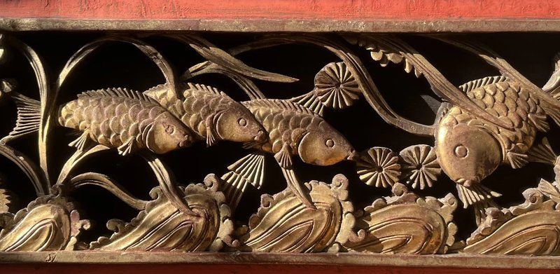 木雕魚中哪個品種最受歡迎？，木雕魚中最受歡迎的品種 木雕魚中哪個品種最受歡迎？，木雕魚中最受歡迎的品種 龍魚百科 第5張