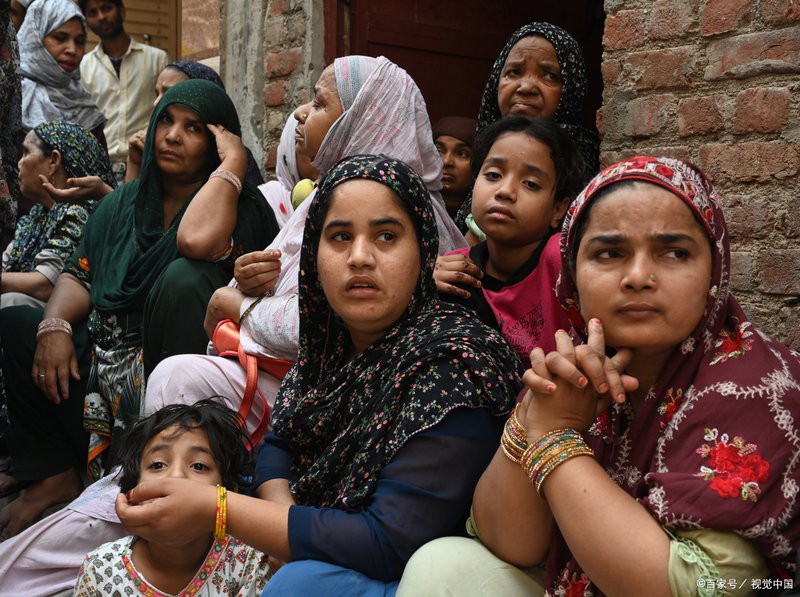 全世界一共有多少只老虎，世界自然保護聯盟的評估顯示，全球老虎數量增長40% 全世界一共有多少只老虎，世界自然保護聯盟的評估顯示，全球老虎數量增長40% 龍魚論壇 第5張