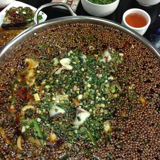 巴南龍魚店，巴南區有龍魚專賣店嗎