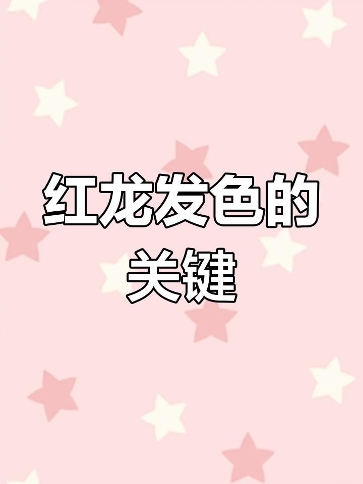 紅龍發色過程中的飲食，《紅龍發色過程中的飲食》