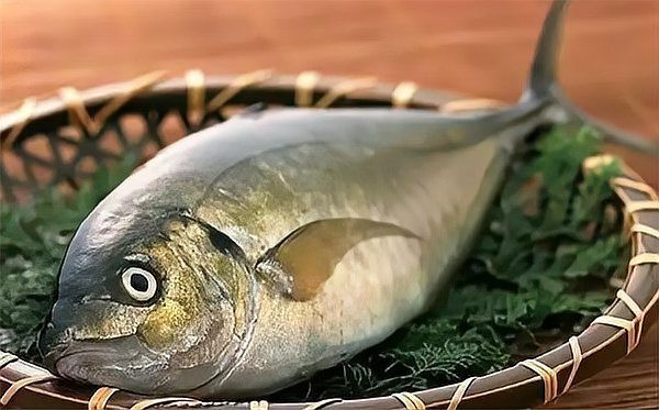 全球10種頂級魚排名，全球十大頂級魚類排名