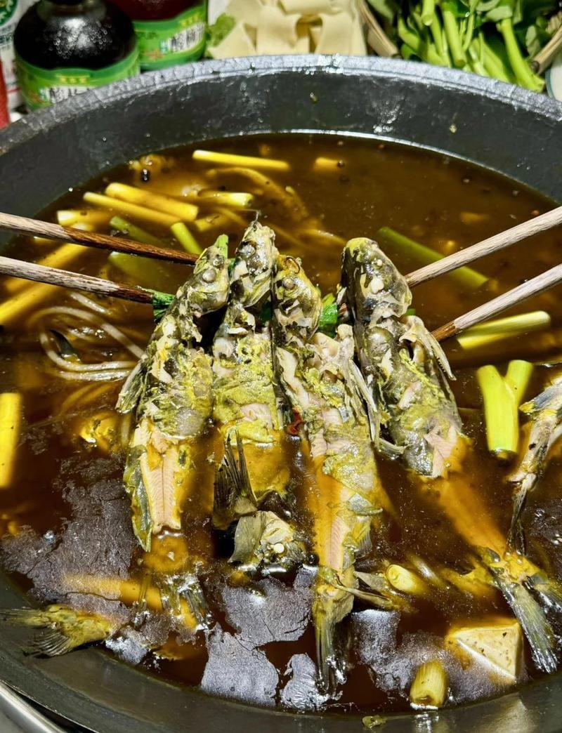 城口水族店，加盟星城口水族店有哪些特色產品