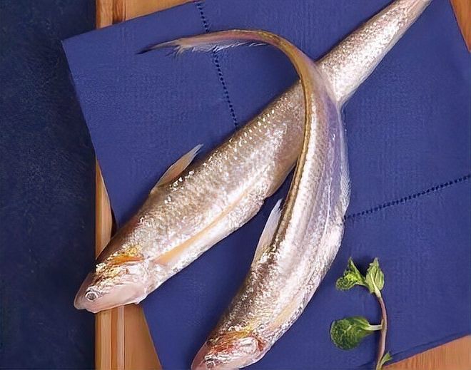 刀魚跟帶魚是一種魚嗎，刀魚和帶魚是一種魚嗎
