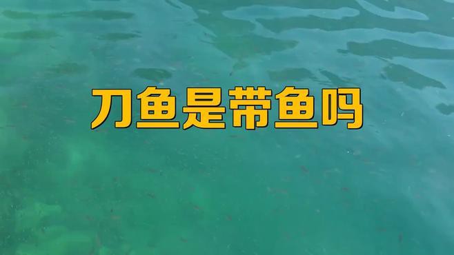 刀魚跟帶魚是一種魚嗎，刀魚和帶魚是一種魚嗎