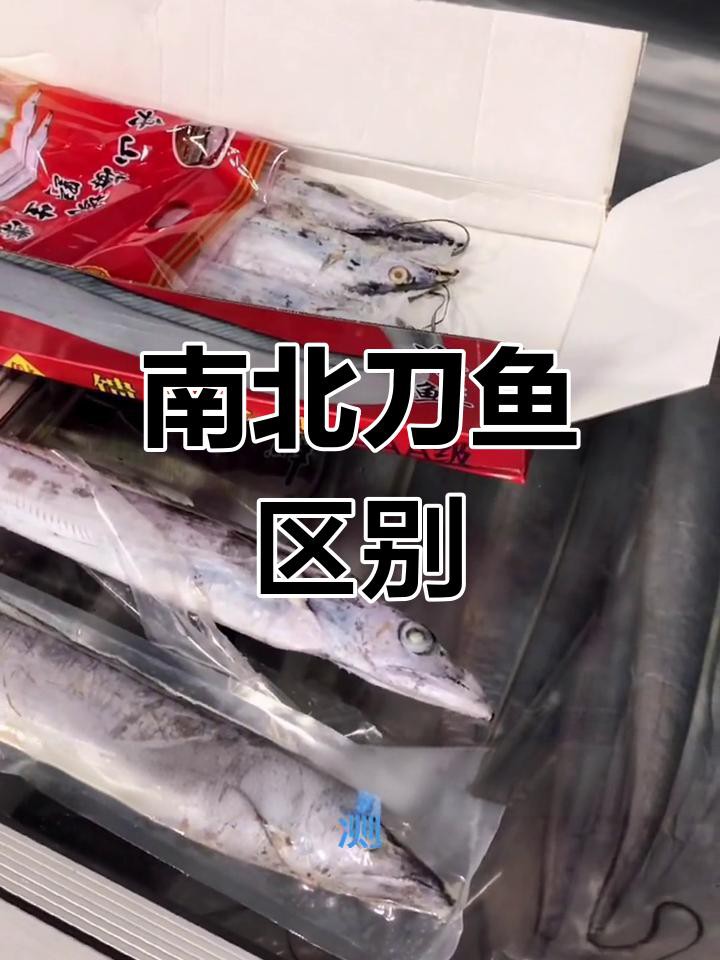 刀魚跟帶魚是一種魚嗎，刀魚和帶魚是一種魚嗎