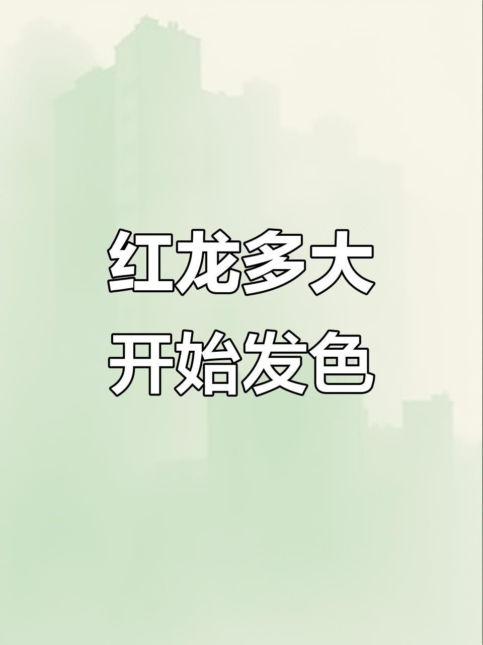 紅龍魚幼苗多久會(huì)發(fā)色，紅龍魚發(fā)色與成長(zhǎng)全過程如何促進(jìn)紅龍魚發(fā)色與成長(zhǎng)全過程