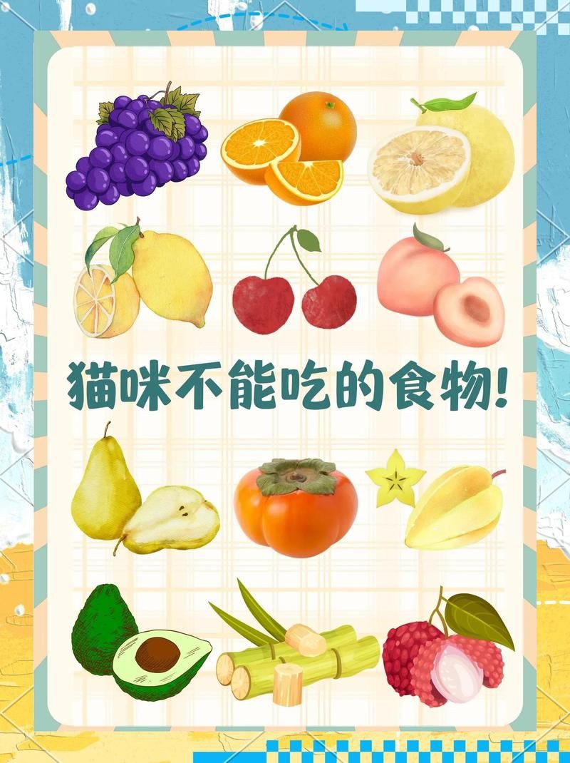 綠皮皇冠豹最忌三種水果圖片，綠皮皇冠豹最忌三種水果