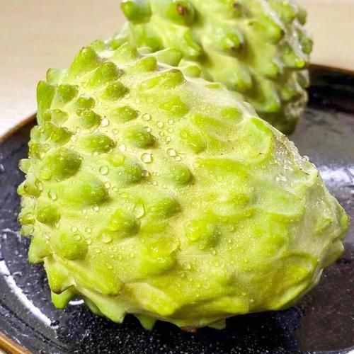 綠皮皇冠豹最忌三種水果圖片，綠皮皇冠豹最忌三種水果