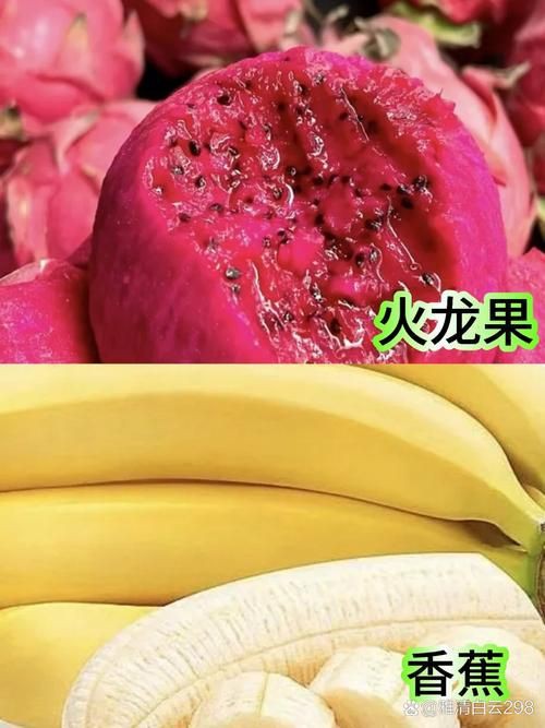 綠皮皇冠豹最忌三種水果圖片，綠皮皇冠豹最忌三種水果