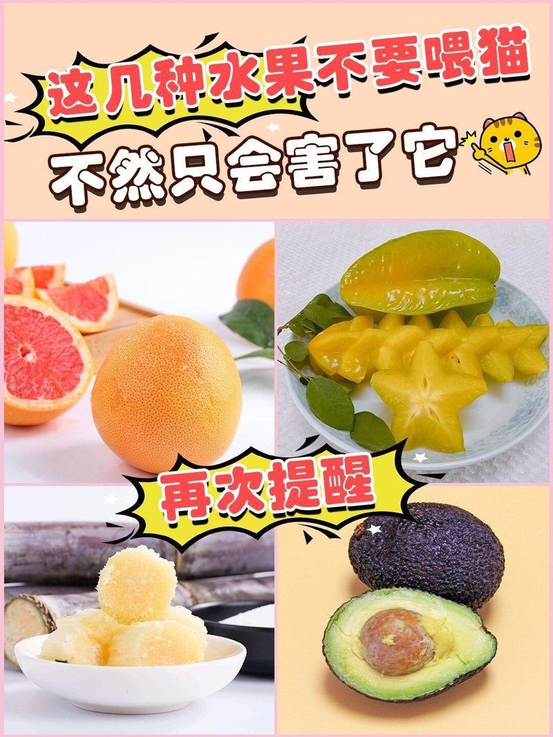綠皮皇冠豹最忌三種水果圖片，綠皮皇冠豹最忌三種水果