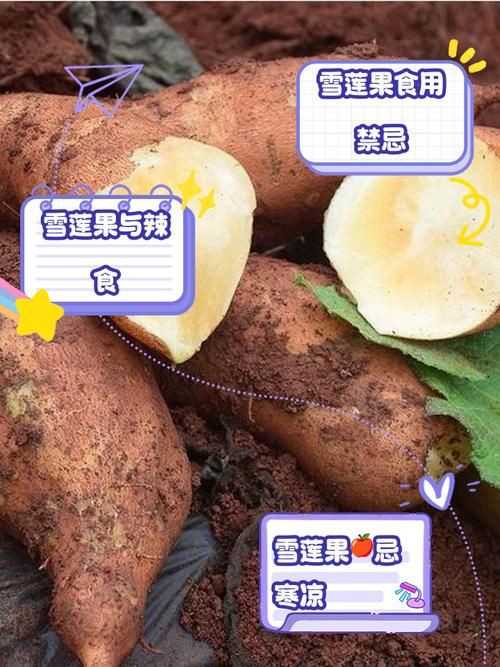 綠皮皇冠豹最忌三種水果圖片，綠皮皇冠豹最忌三種水果